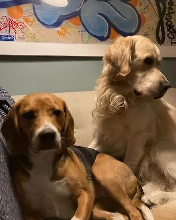 Grimm * Сент-Мари-о-Мин