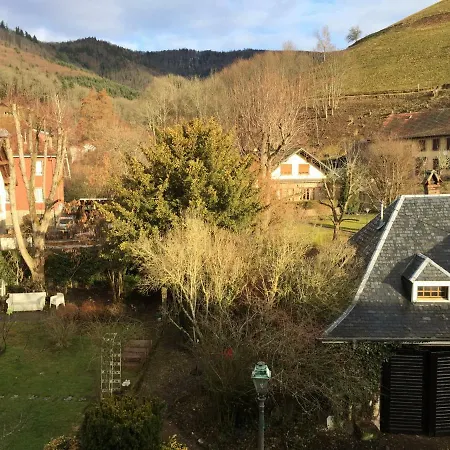 Grimm Проживание в семье