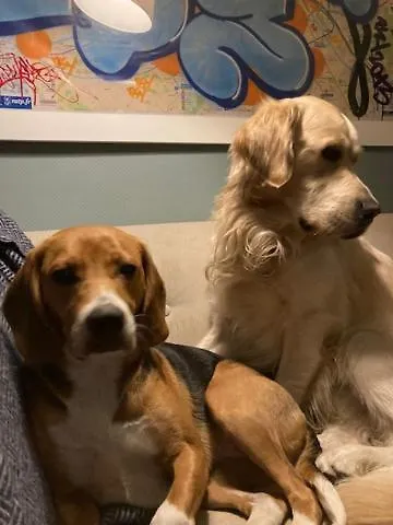 Grimm * Sainte-Marie-aux-Mines